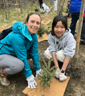 treeplanting1