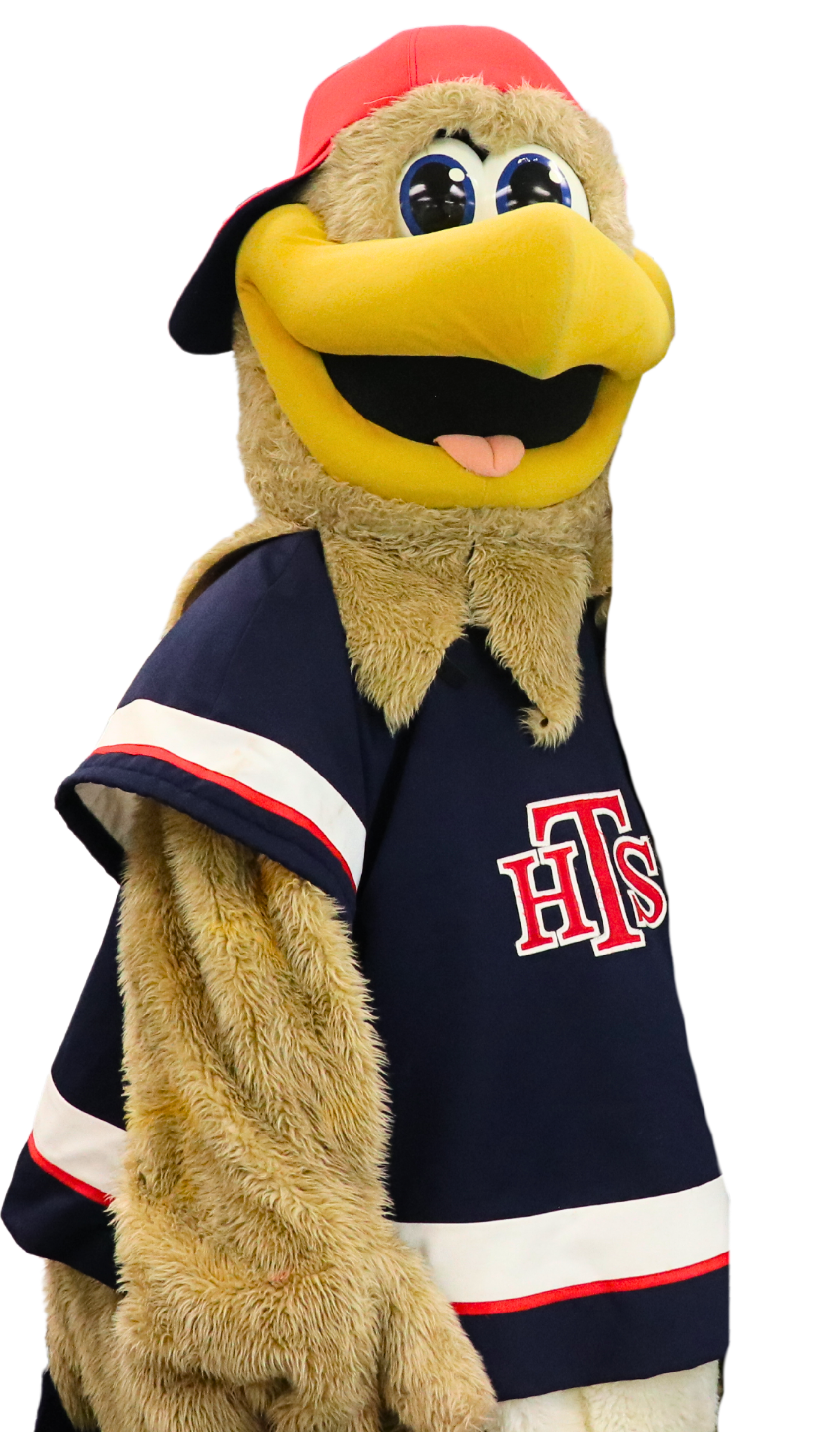 Hawks Day 2024 - ArtworkCreative Assets (1)