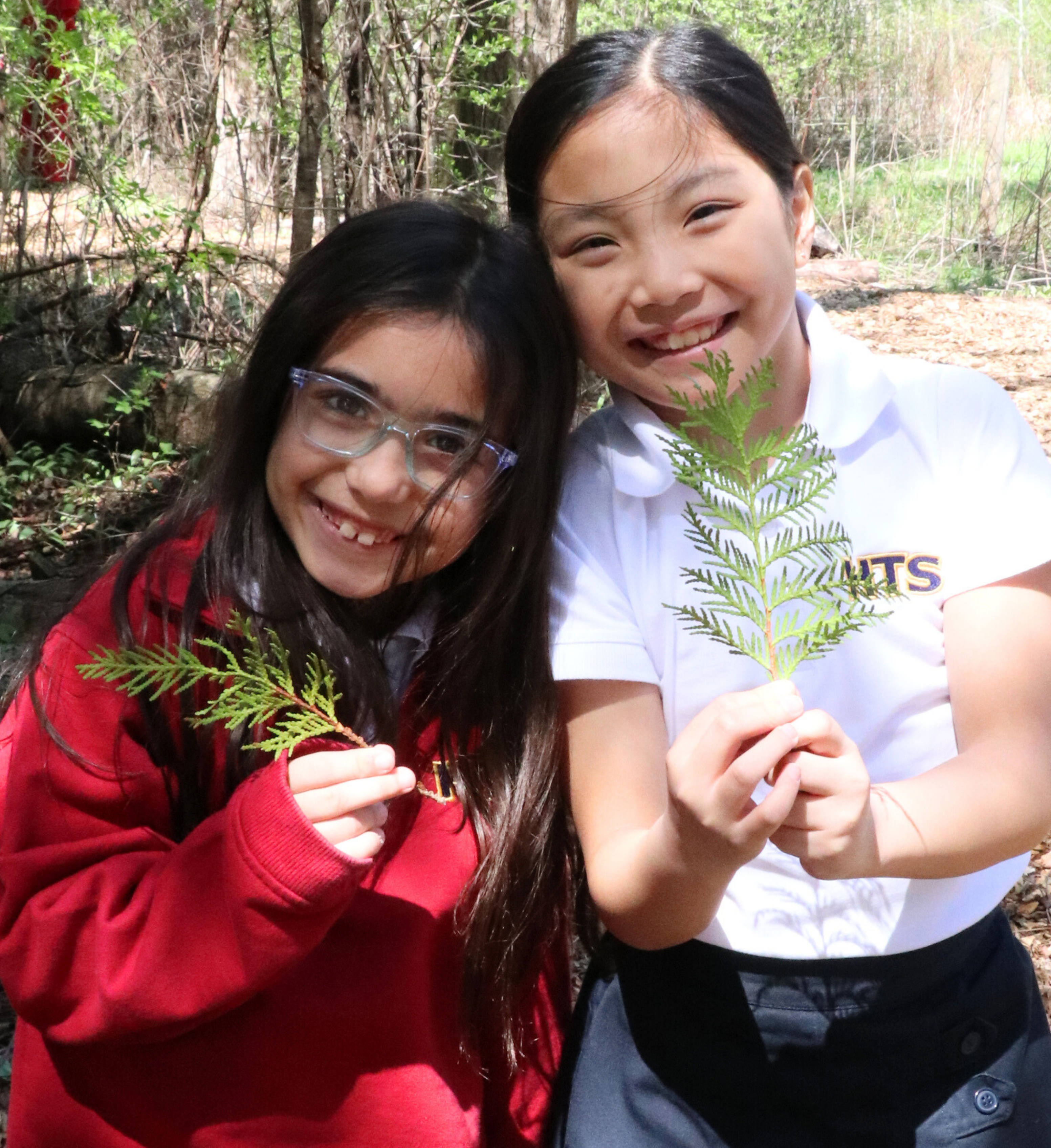 website photos 2025 (4)